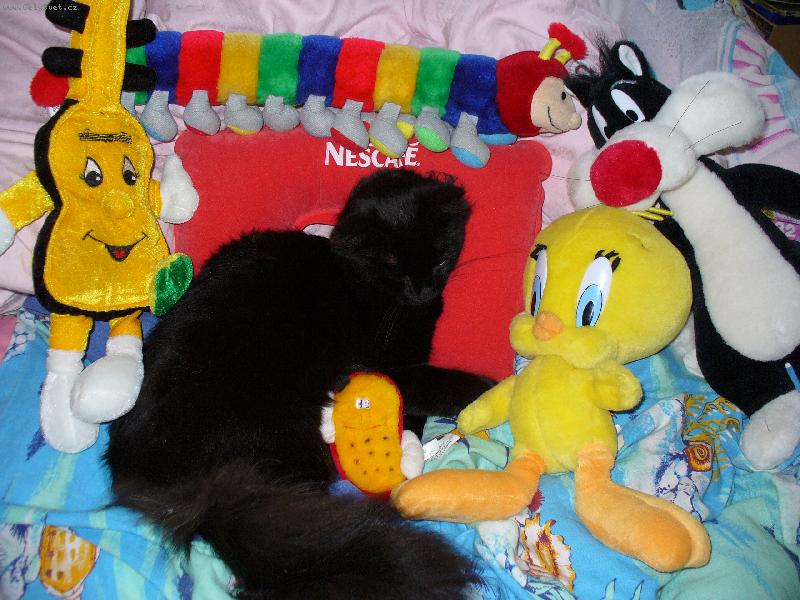 Foto: Mike�-Chrupka po kaf��ku.