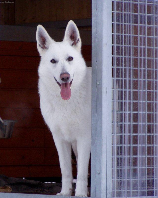 Foto: Co na m� tak kouk�te II