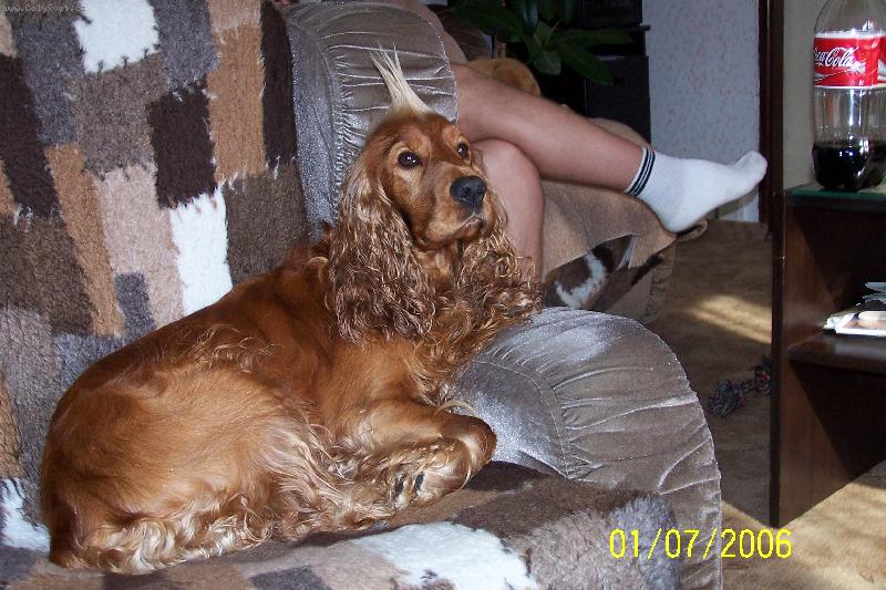 Foto: Jim-Jak mi to slu��?