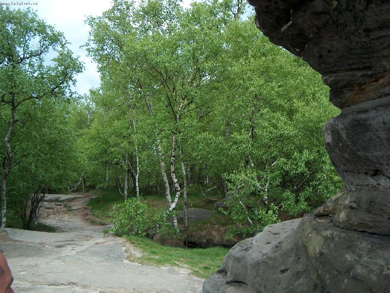 Foto: Foto z proch�zky