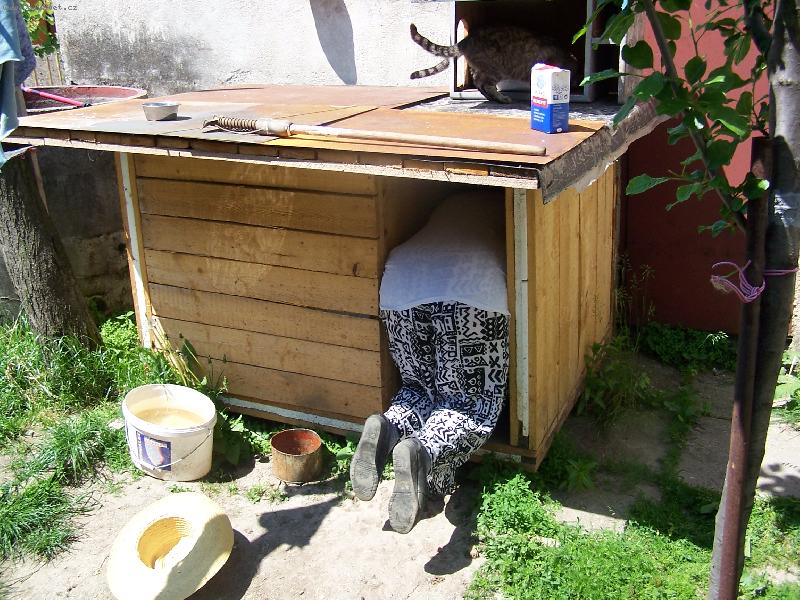 Foto: tak �� je to vlatn� bouda?-pes uvnit� ?