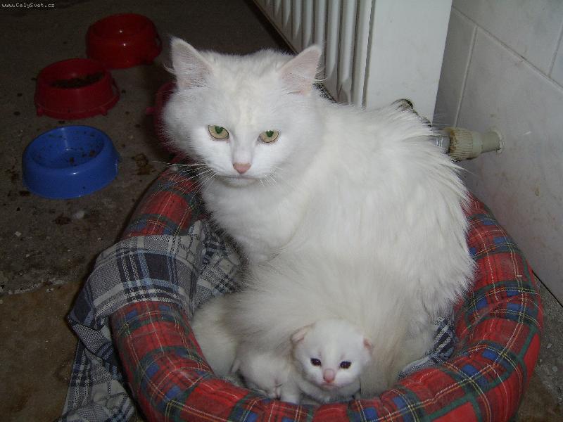 Foto: Mil��kov�