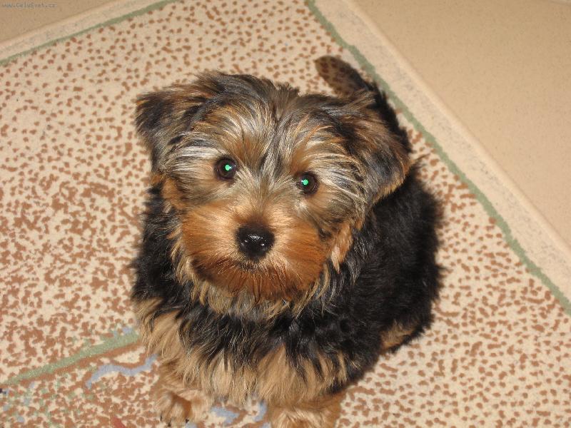 Foto: TADY M� M�TE-NOV� �LEN RODINY