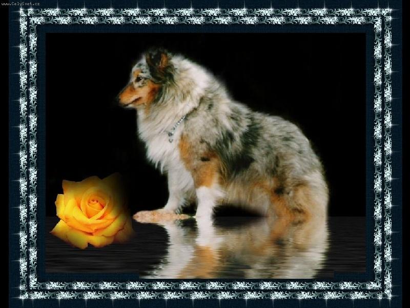 Foto: Hladina