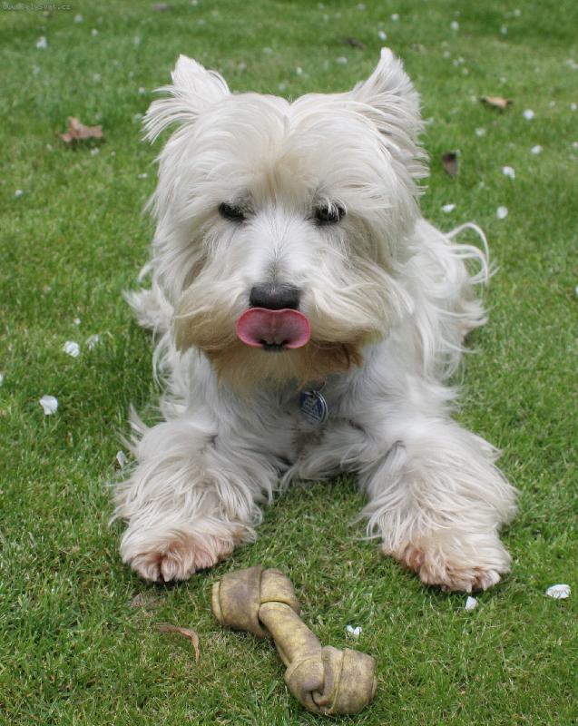 Foto: NA�E AM�LKA :)