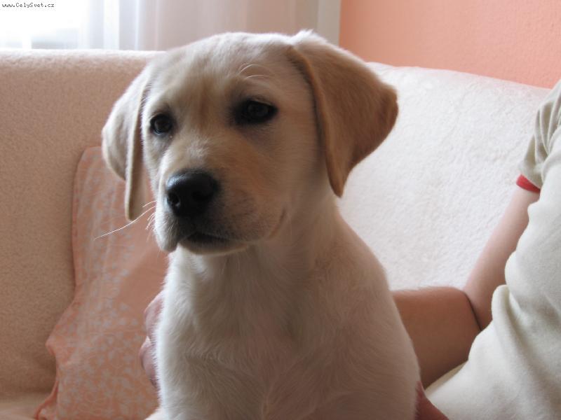 Foto: Rony-Portr�t