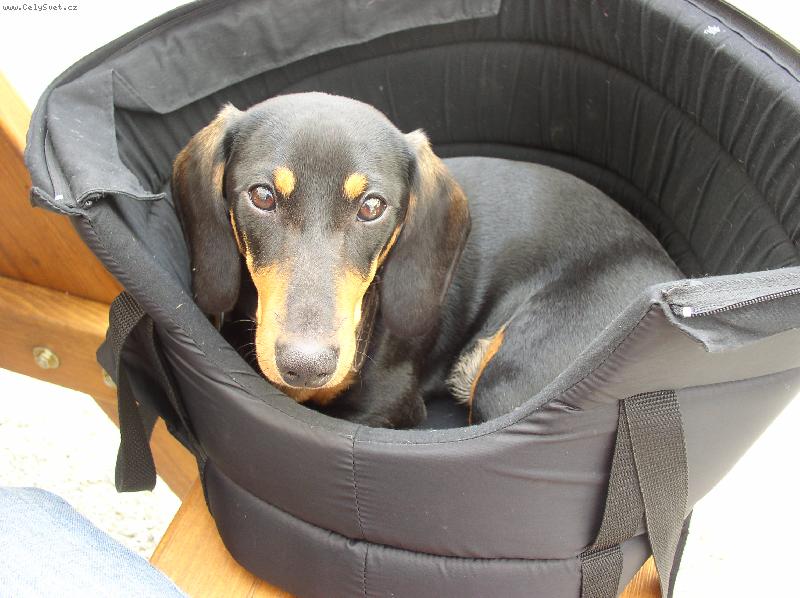 Foto: Heidina-N� tvrdohlav� mil��ek...