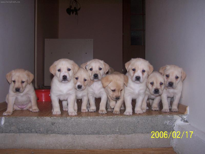 Foto: Na�e slun��ka