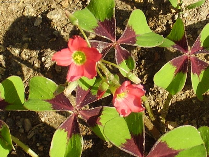 Foto: �ty�l�stek jinak