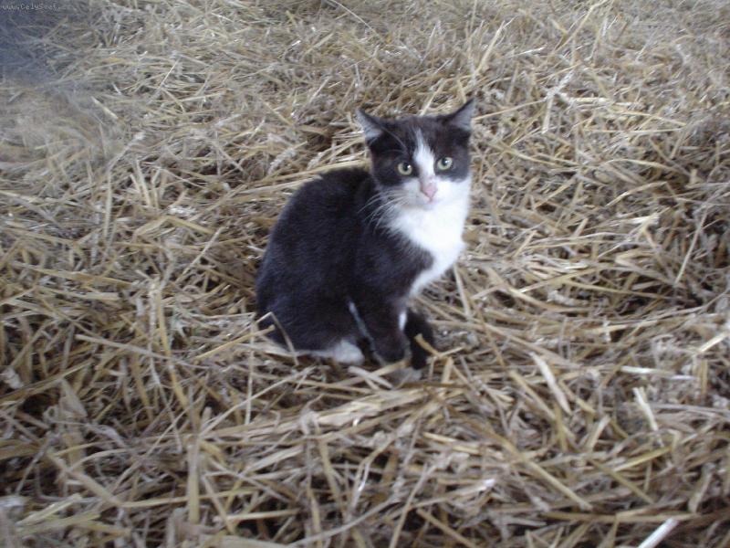 Foto: a tak tady sed�m a sed�m...