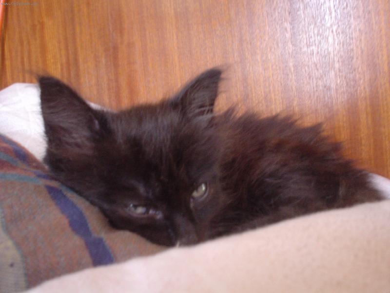 Foto: nechte m� sp�t