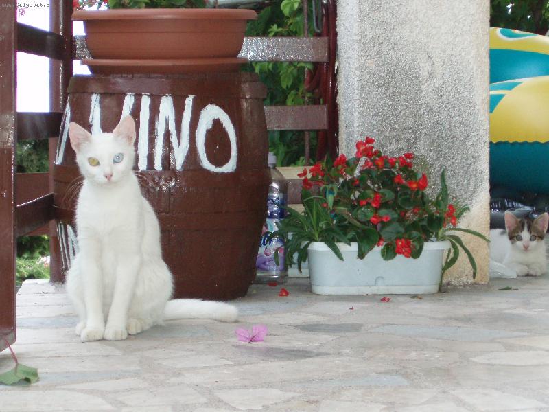 Foto: je n�s tu v�c.....