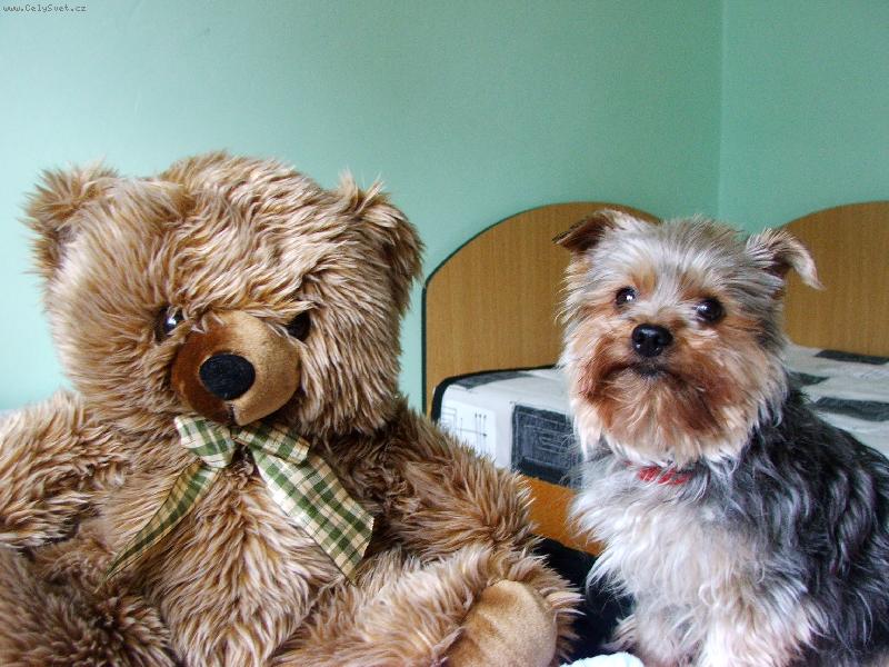 Foto: Buddy-Buddy s kamar�tom