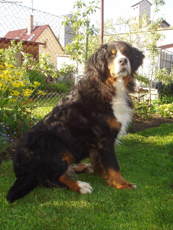 Foto: m�j mil��ek