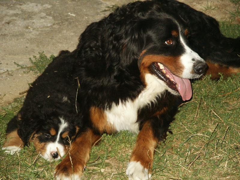 Foto: Na�e maminka