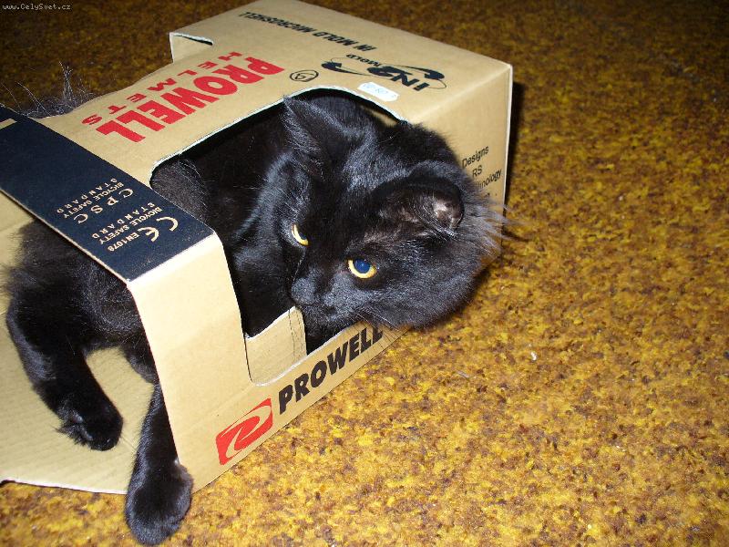Foto: Mike�-Tu krabici z p�ilby mi nechte !!!!