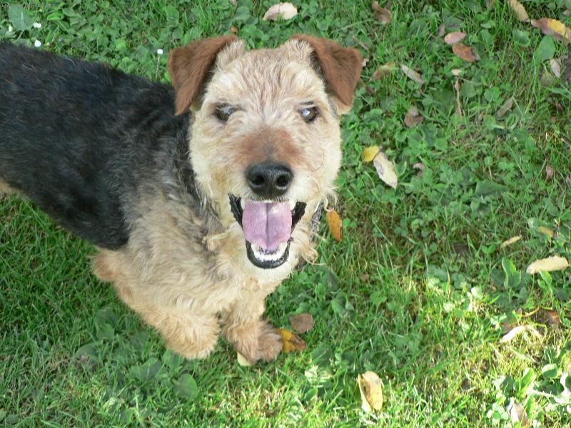 Foto: Filip-Poj� si hr�t.