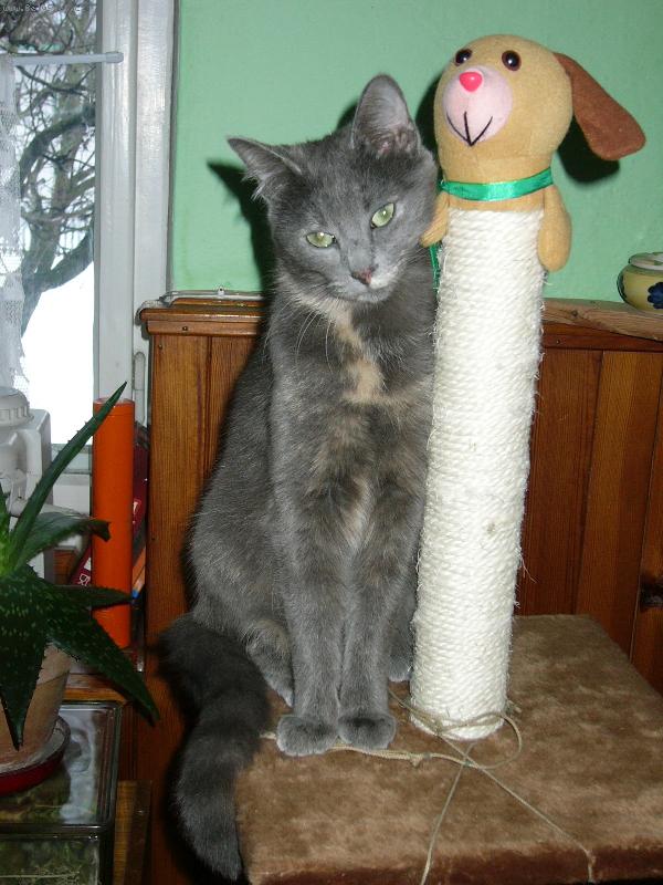 Foto: Jak se V�m l�b�m?-Jsem sice vo�ech, ale taky um�m b�t d�ma!