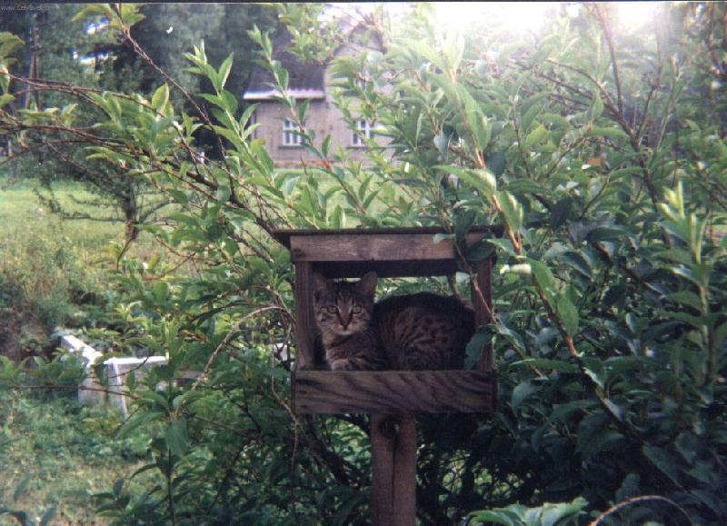 Foto: Moure�ka-V l�t� je toto m�sto moje!