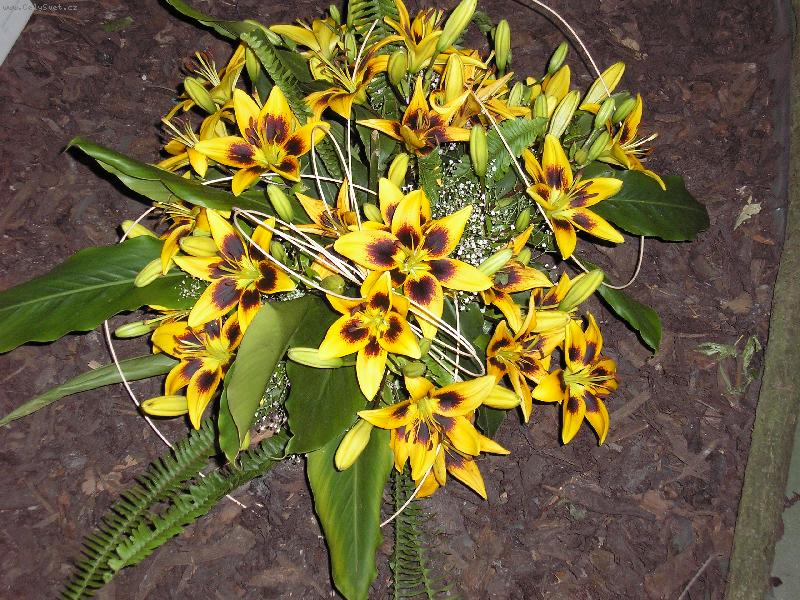 Foto: no nejsou prekrasn�?