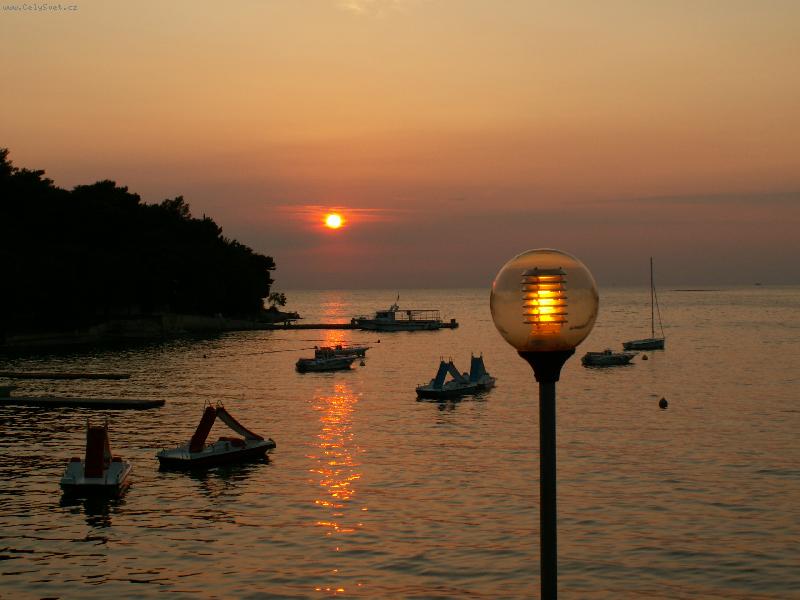 Foto: Plam�nky �ivota