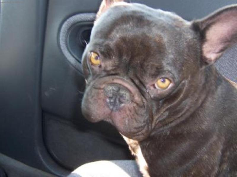 Foto: Eddy-Nem� n�kdo pi�kotek..?