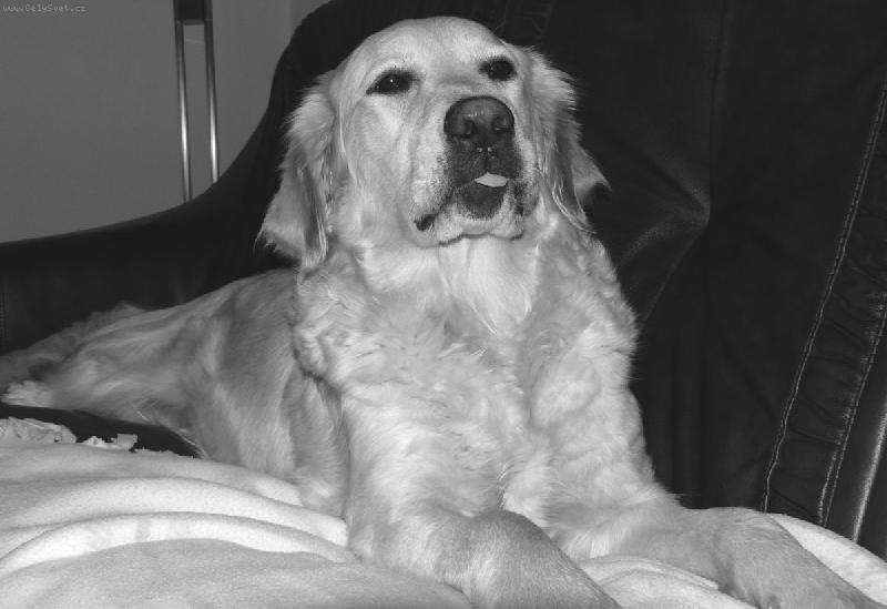 Foto: na�e mal� Eminka