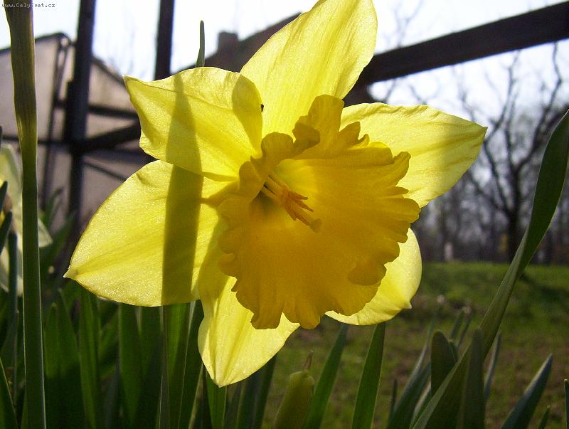 Foto: �lu��sek