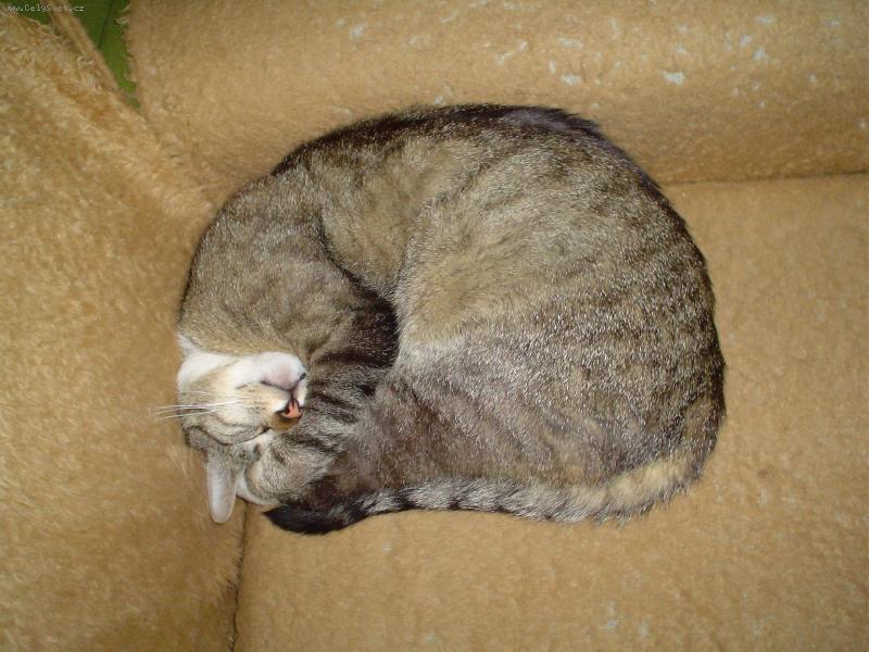 Foto: Haj�-Neru�it...