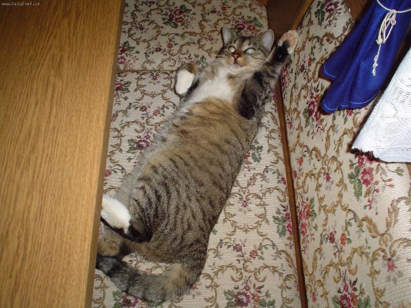 Foto: P� p�-p� p�...