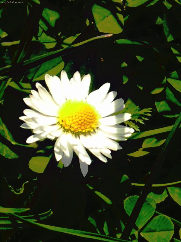 Foto: Nejsem krasna?