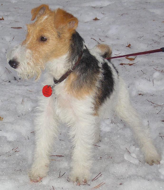 Foto: ...v�dy v strehu