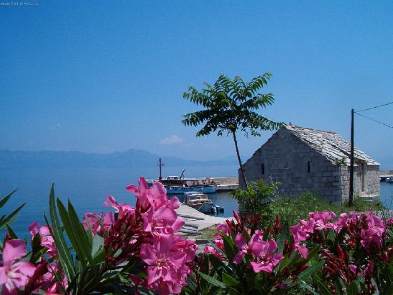 Foto: z pohledu trose�n�ka-foceno na Hvaru