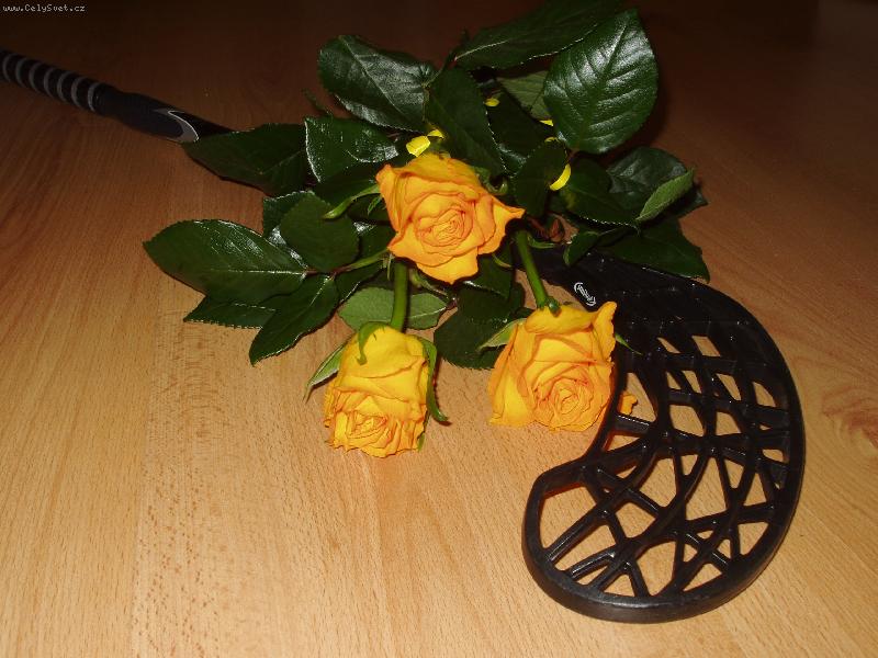 Foto: nejkr�sn�j�� d�rek k narozenin�m:)