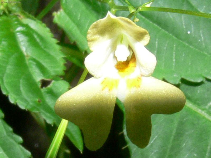 Foto: sv�tlo a st�n