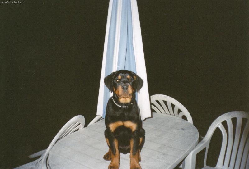 Foto: Argou�ek p�zuje :-)