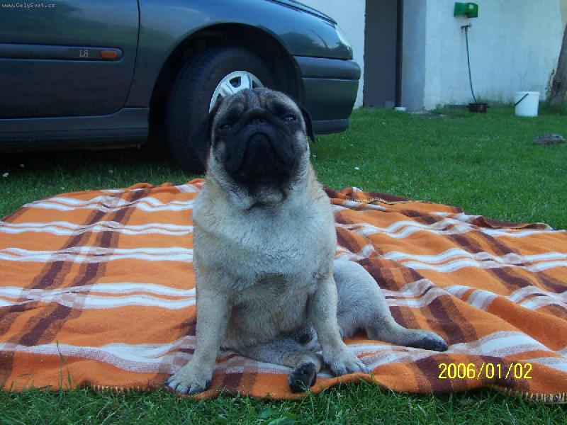 Foto: Eddy-Eddy d�l� d�le�it�ho :D