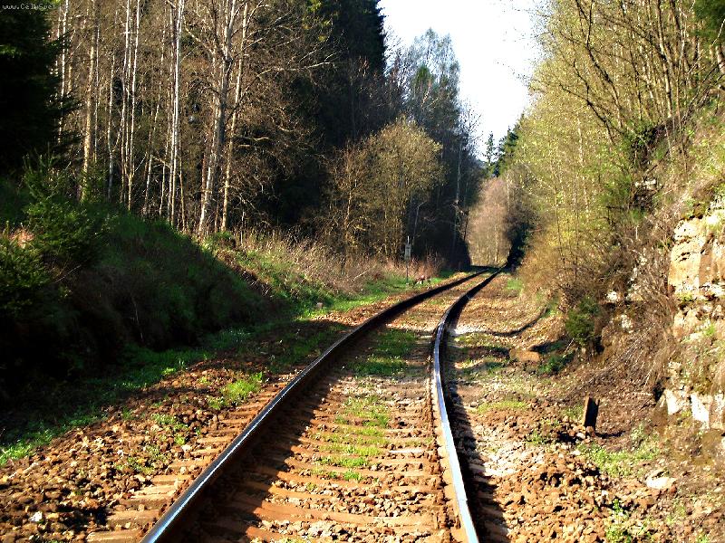 Foto: TOULKY PO KOLEJ�CH