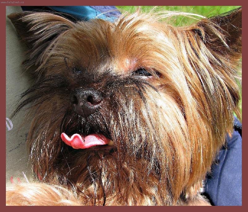 Foto: NECHT�JTE V�D�T, CO SI MYSL�M ...