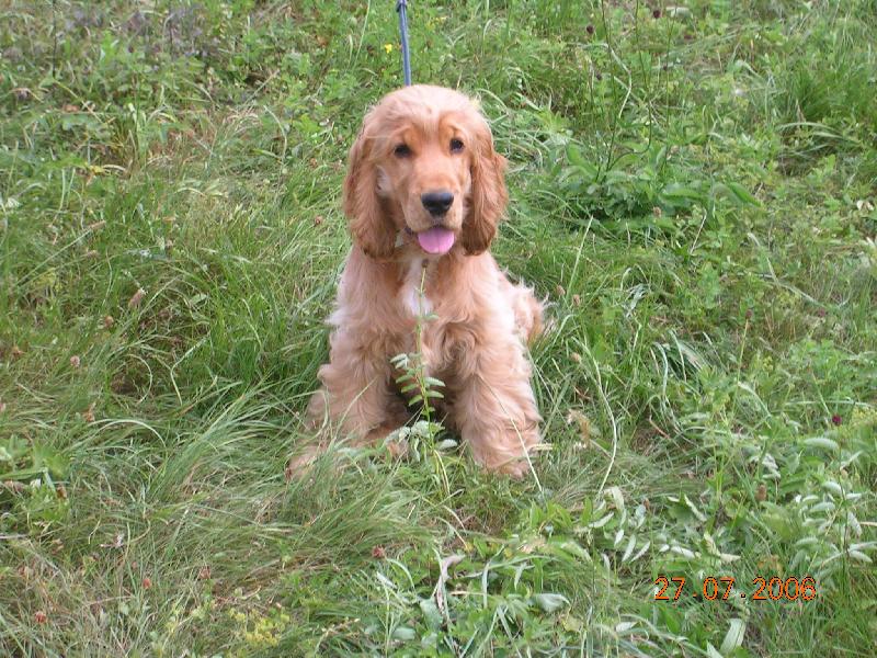 Foto: Tadeas Marcato Line-Na proch�zce......