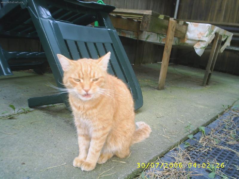 Foto: Fil�pek-Bez n�lady