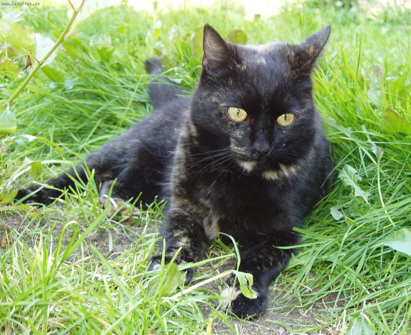 Foto: Ad�lka-Ad�lka p�zuje.