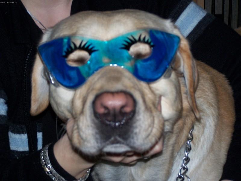 Foto: Kde �e je ten karneval?-Atonek