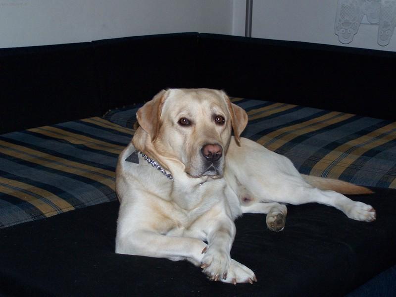 Foto: J� �ek�m........-Atonek