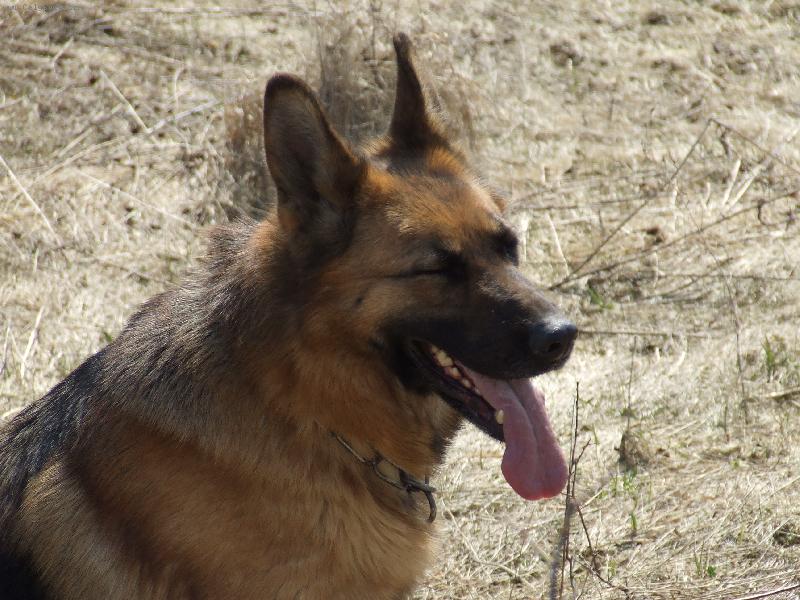 Foto: �murkyyyyyyyyyy-:o)