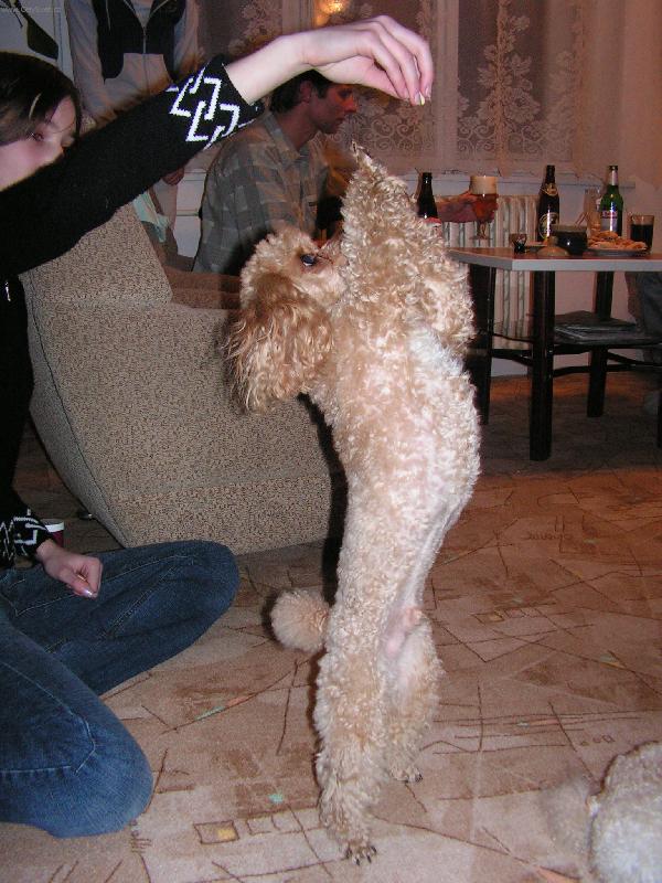 Foto: Um�m tan�it.-Za odm�nu ud�l�m v�e.