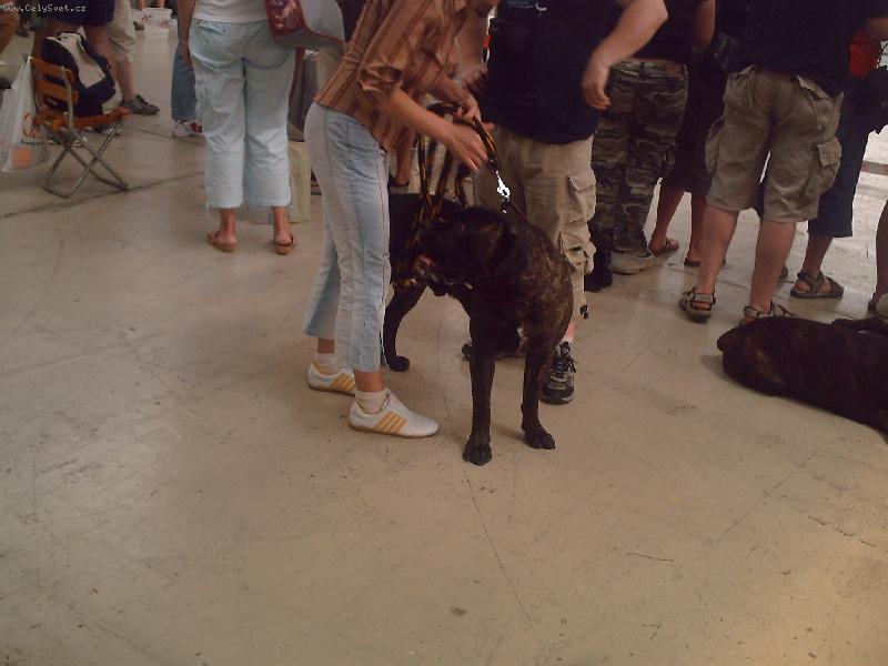 Foto: Kam jen jdou,co nesou...