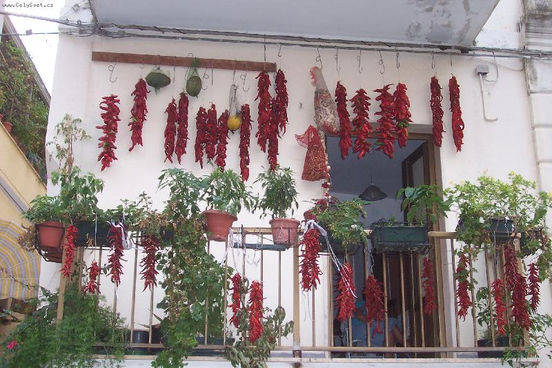 Foto: z�soba papri�ek nikdy neu�kod�