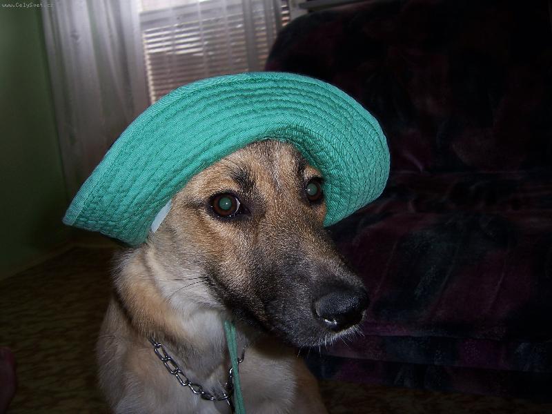 Foto: R��enka je opravdu d�ma-tenhle mi slu�� nejv�c