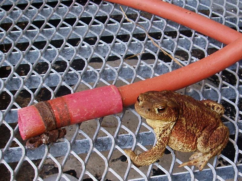 Foto: Pote�e?-��ba hled� sv�j pramen